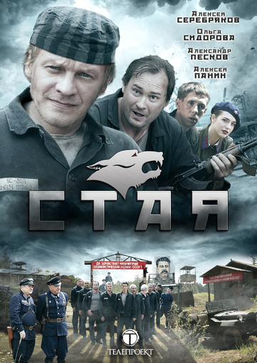 Стая