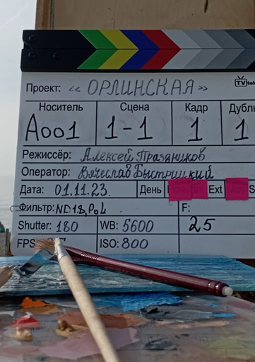 Новости кинопроизводства: Орлинская
